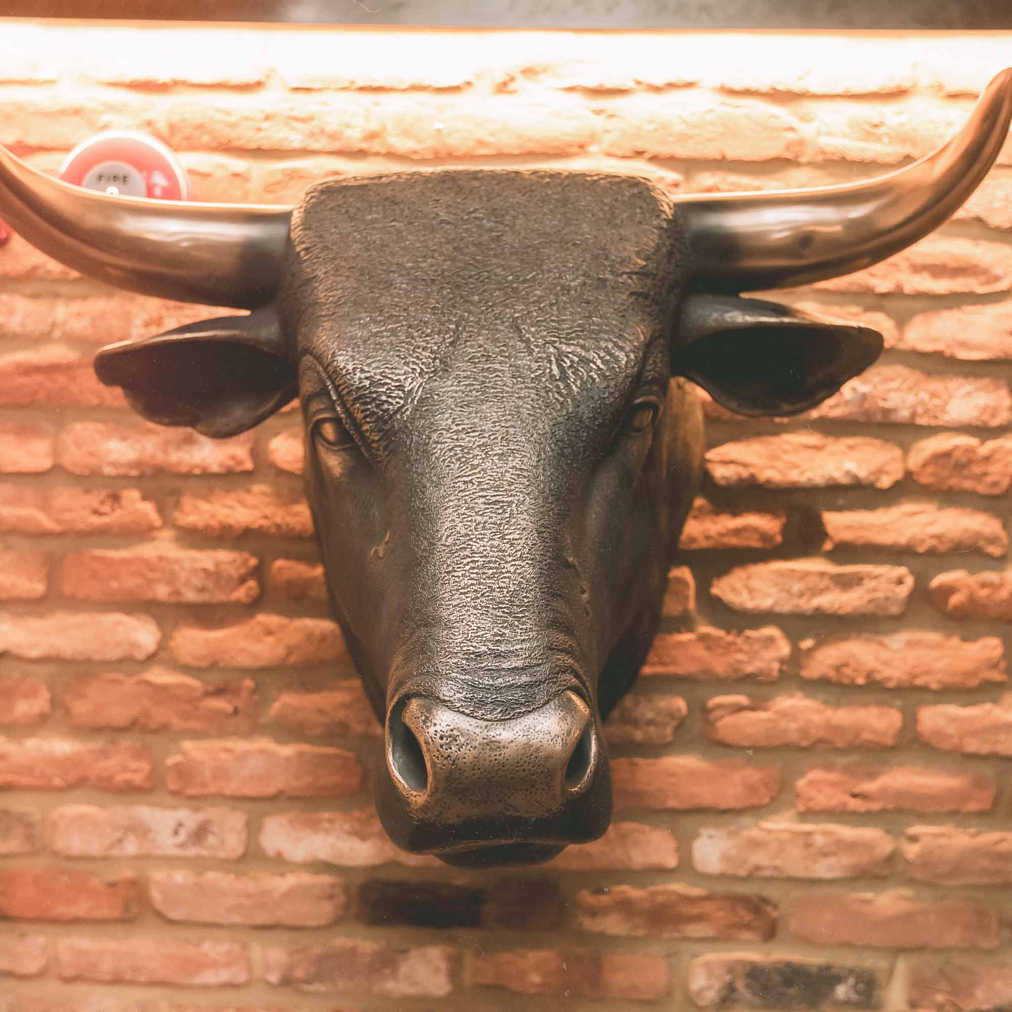 Table of 4 in The Gate - Nations Championship - England v Australia - Sun 8 Nov 2026 - Image 5