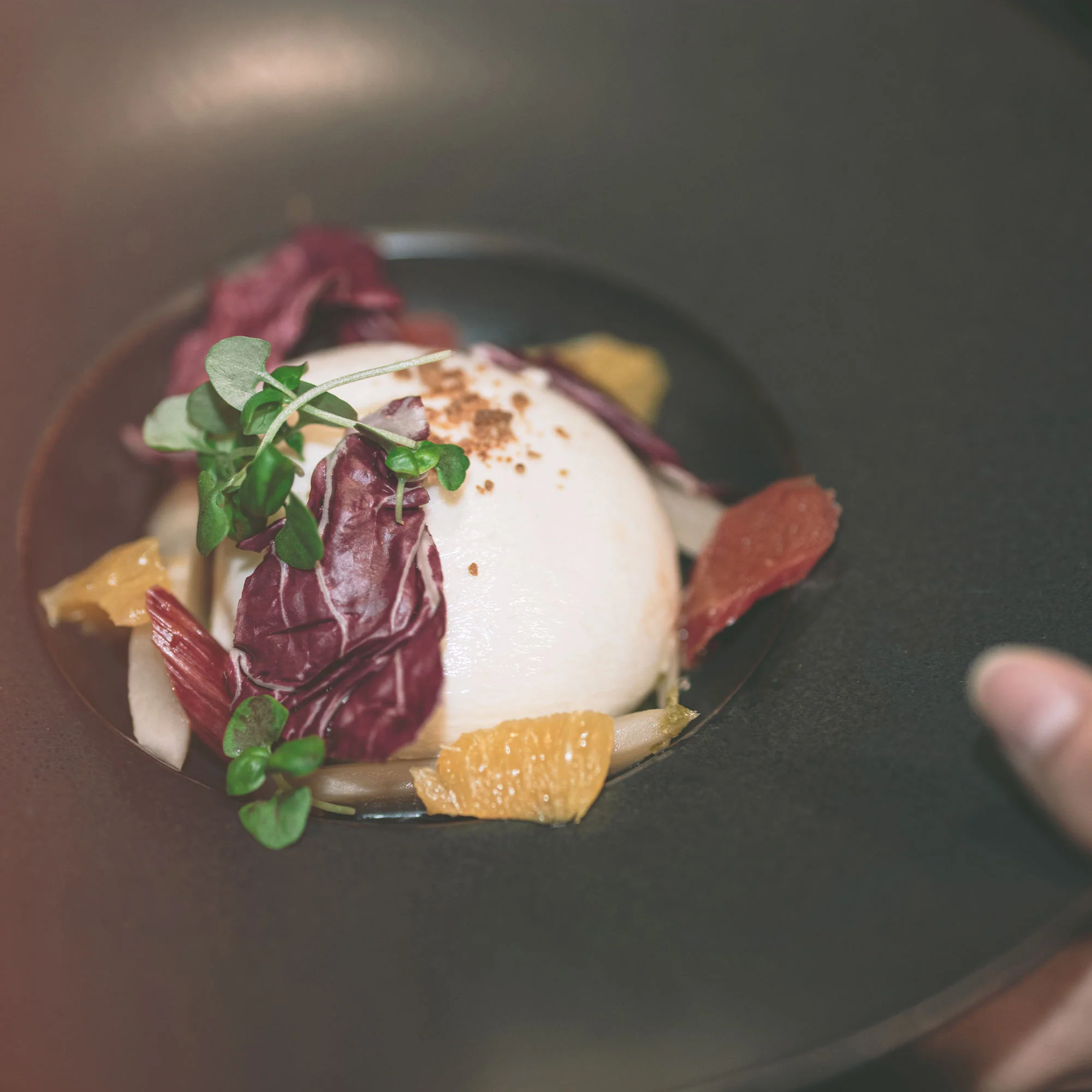 The Green Room - Guinness Men's Six Nations - England v Italy - Sat 20 Feb 2027 - Image 5